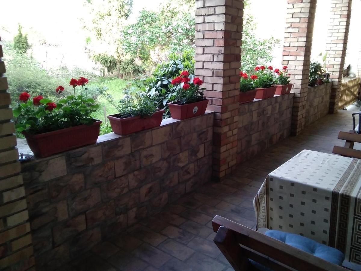 Citadela Hotel Sombor Bagian luar foto