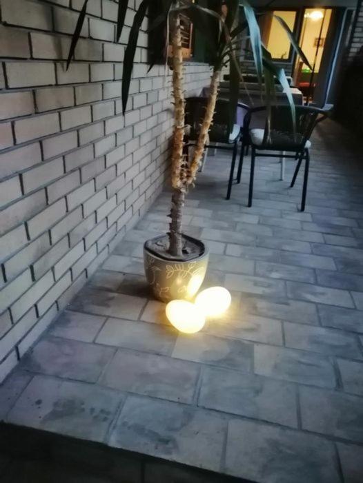 Citadela Hotel Sombor Bagian luar foto